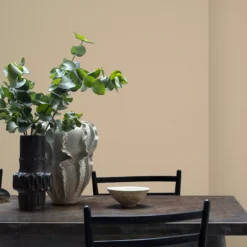 Craig & Rose 1829 Green Chalky Emulsion Paint, 2.5L -Home Paint Store craig rose 1829 green chalky emulsion paint 2 5l5036211062167 01i bq