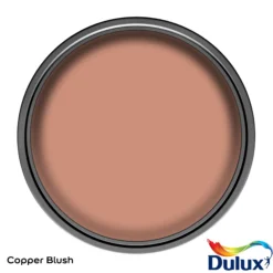 Dulux Easycare Kitchen Copper Blush Matt Wall Paint, 2.5L 12 Dulux Easycare Kitchen Copper Blush Matt Wall Paint, 2.5L -Home Paint Store dulux easycare kitchen copper blush matt wall paint 2 5l5010212668429 12c bq