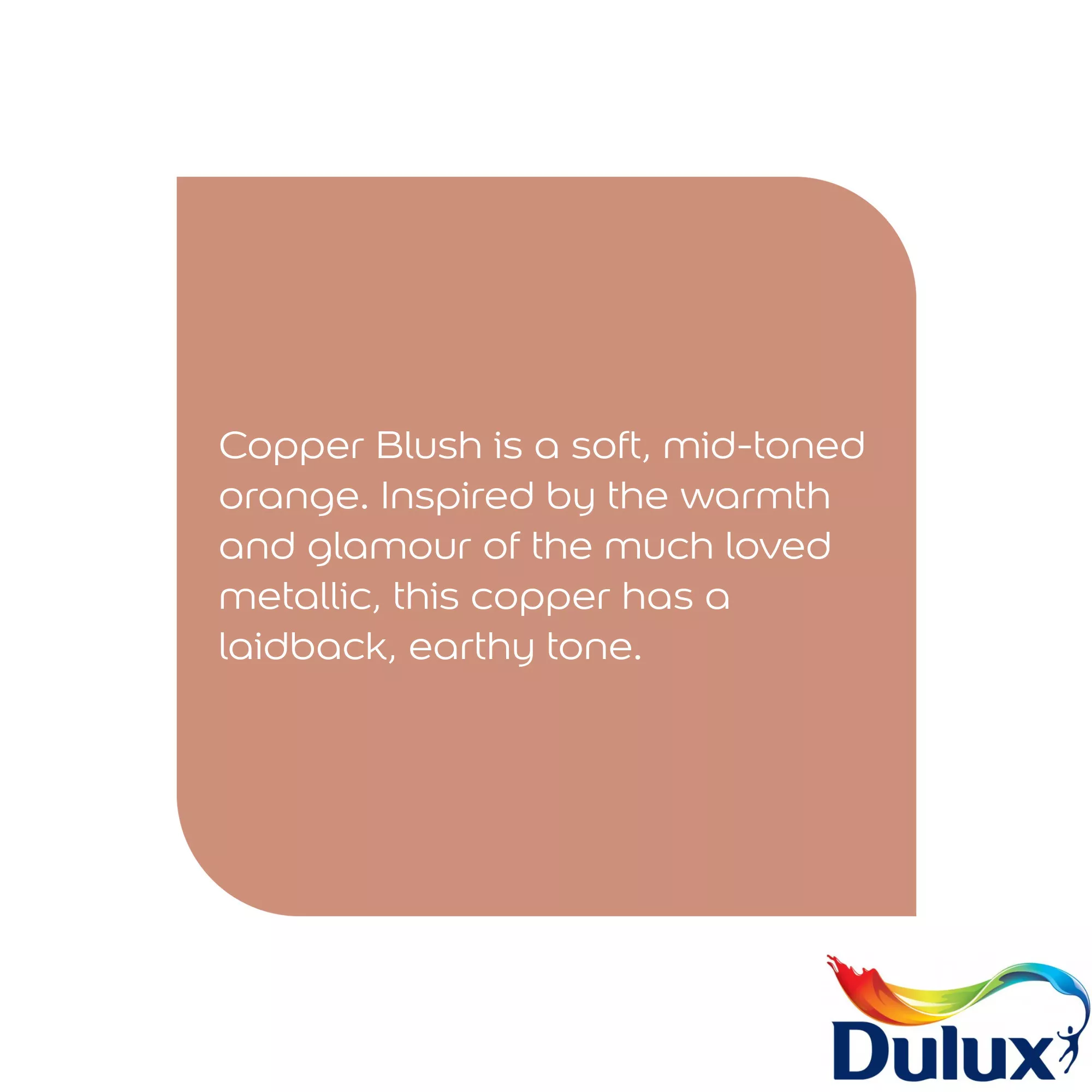 Dulux Easycare Kitchen Copper Blush Matt Wall Paint, 2.5L 7 Dulux Easycare Kitchen Copper Blush Matt Wall Paint, 2.5L - Image 5