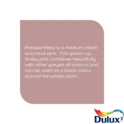 Dulux Easycare Washable & Tough Pressed Petal Matt Wall Paint, 5L 16 Dulux Easycare Washable & Tough Pressed Petal Matt Wall Paint, 5L -Home Paint Store dulux easycare washable tough pressed petal matt wall paint 5l5010212668283 36c bq