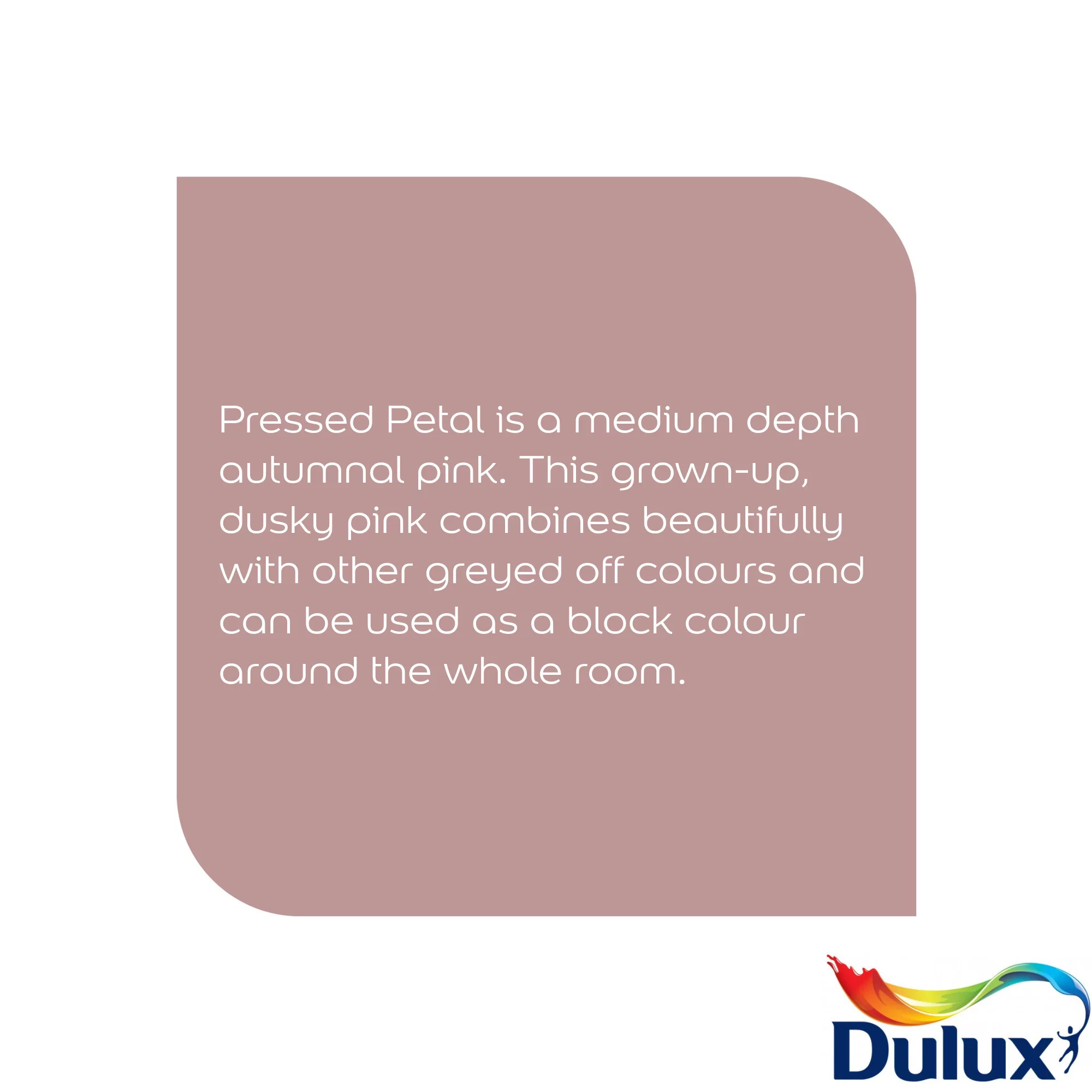 Dulux Easycare Washable & Tough Pressed Petal Matt Wall Paint, 5L 8 Dulux Easycare Washable & Tough Pressed Petal Matt Wall Paint, 5L - Image 6