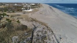 Farrow & Ball Jitney No.293 Gloss Metal & Wood Paint, 750ml -Home Paint Store farrow ball jitney no 293 gloss metal wood paint 750ml5029496759372 lcl en