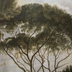 GoodHome Triphan Multicolour Trees Matt Mural -Home Paint Store goodhome triphan multicolour trees matt mural5059340471167 36c