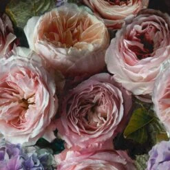 Grandeco Multicolour Floral Matt Mural -Home Paint Store grandeco multicolour floral matt mural5411012469719 02c bq