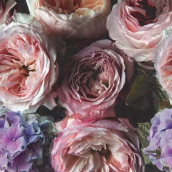 Grandeco Multicolour Floral Matt Mural