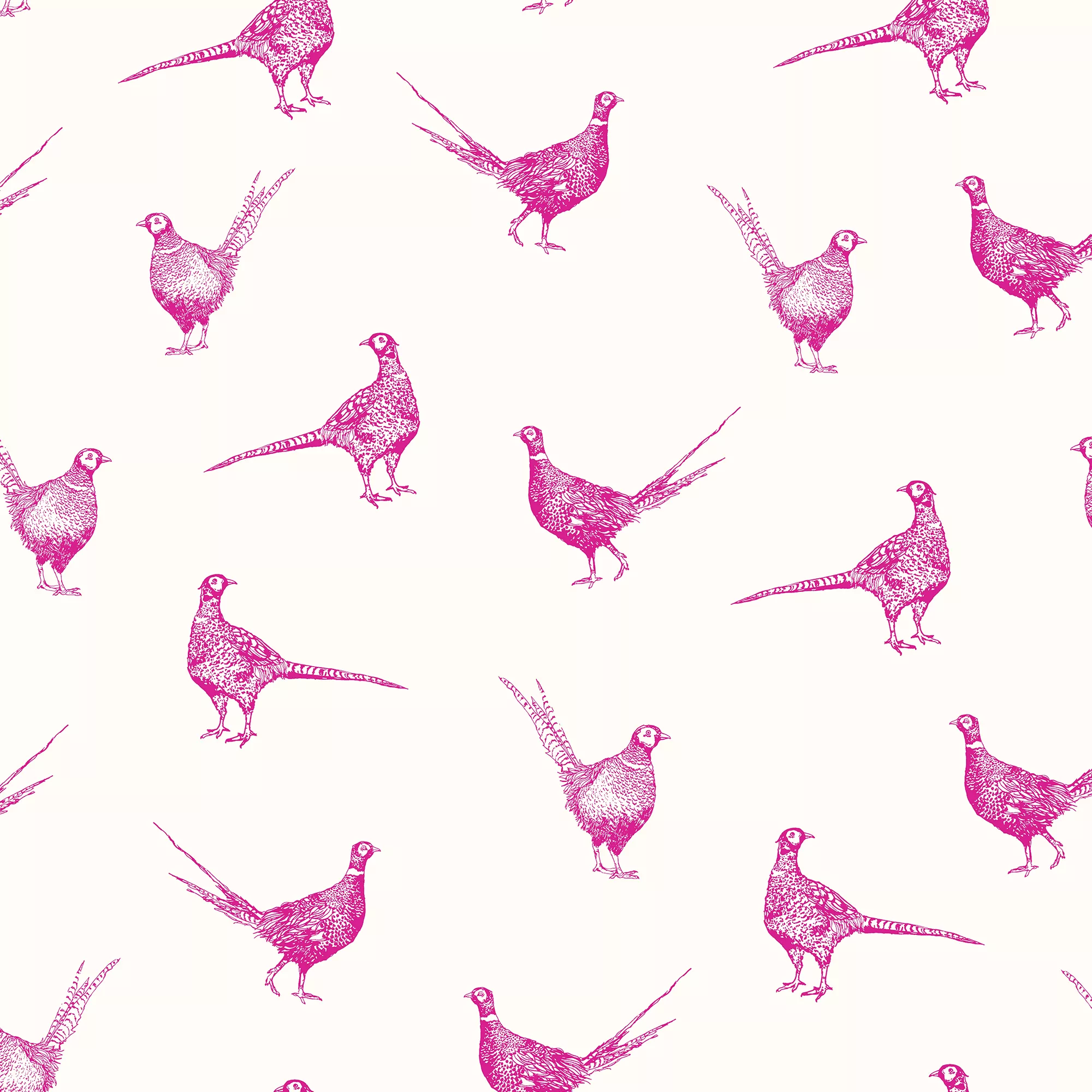 Joules Pink Pheasant Smooth Wallpaper 4 Joules Pink Pheasant Smooth Wallpaper - Image 2