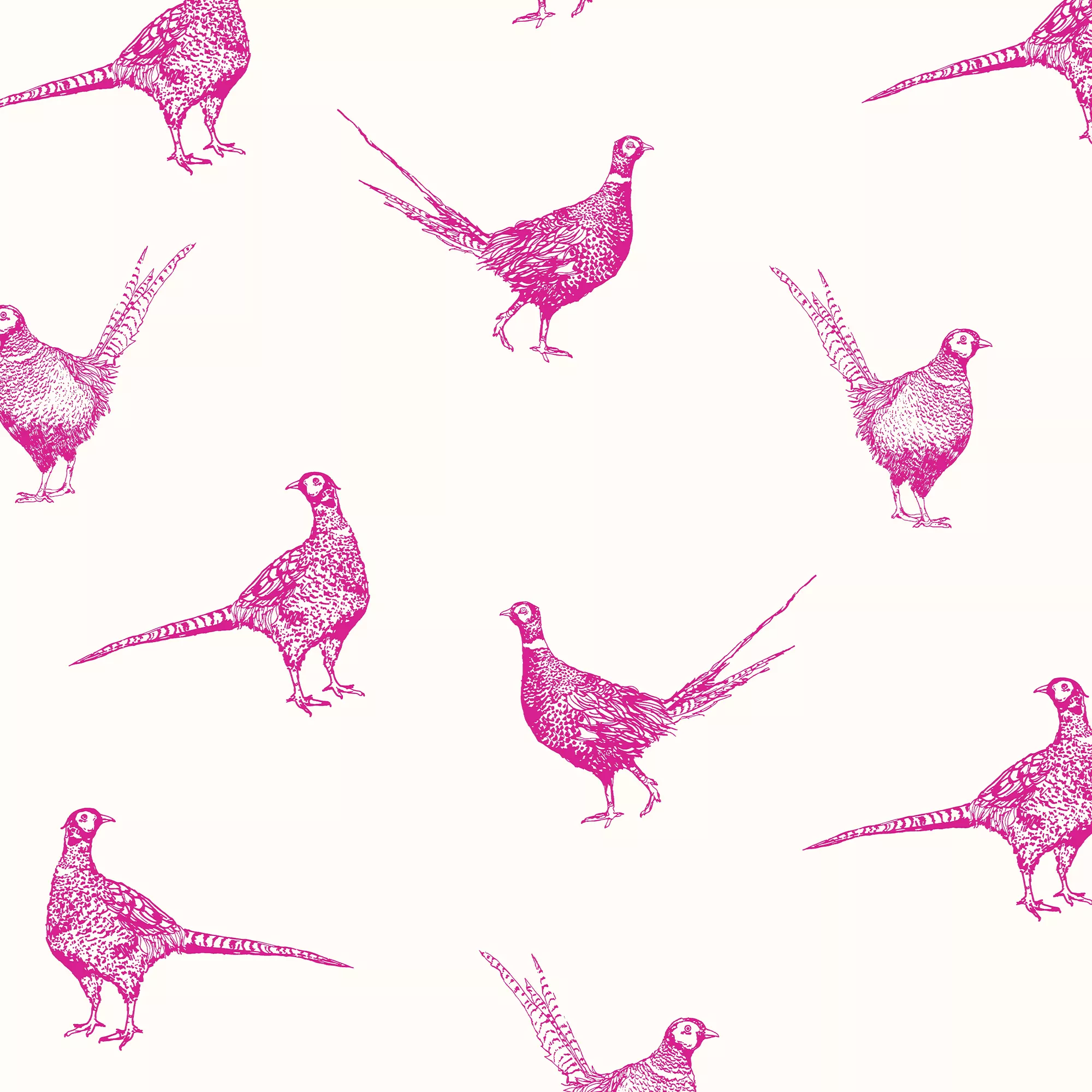 Joules Pink Pheasant Smooth Wallpaper 5 Joules Pink Pheasant Smooth Wallpaper - Image 3
