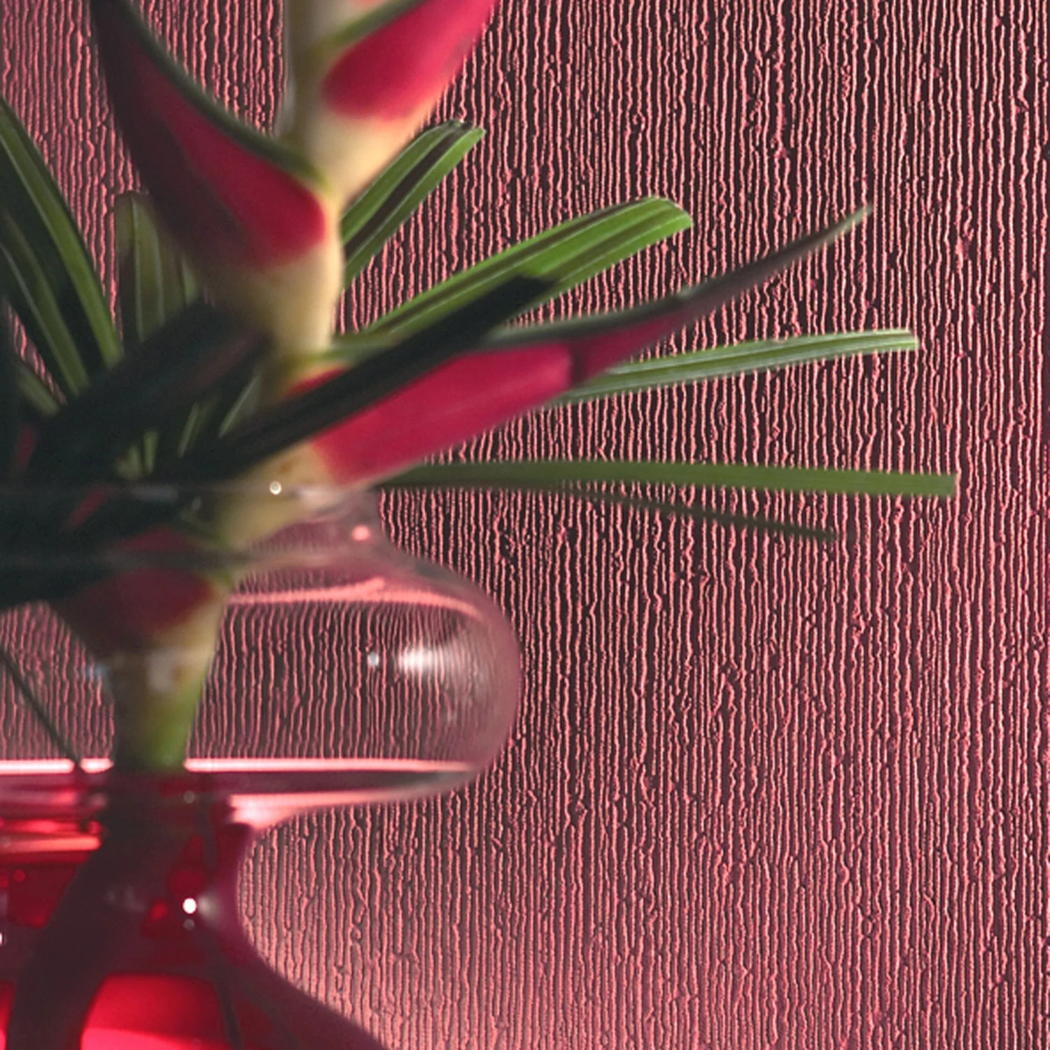 Front Page -Home Paint Store superfresco white string blown wallpaper5011655002849 01i BQ scaled